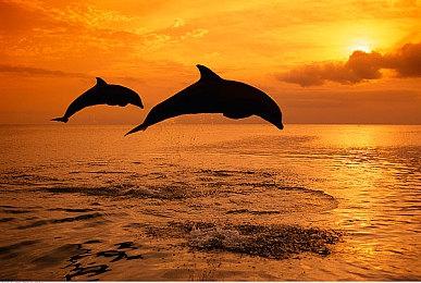 根据剧集改编《尸战朝鲜：血脉》实机片段公布