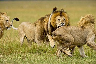 《Apex英雄》第15赛季11月1日上线 支持赠送礼物