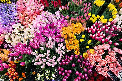 美服NSO会员新一期试玩同乐会 《饥荒》免费游玩